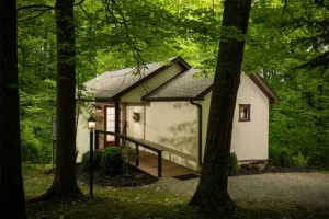 A small, light-colored house with a ramp sits in a lush, green forest, viewed between two large tree trunks.