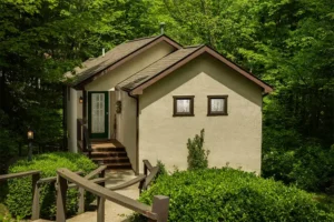 A small beige house with two square windows sits in a lush, wooded area with a wooden railing in the foreground.